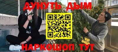 стаф Можга