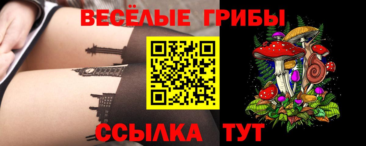 Галлюциногенные грибы Psilocybine cubensis  Галлюциногенные грибы Cubensis  Тула  Вход с VPN 